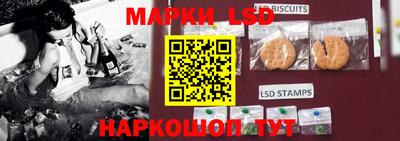 тгк Шебекино