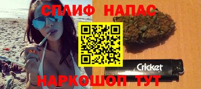 тгк Шебекино