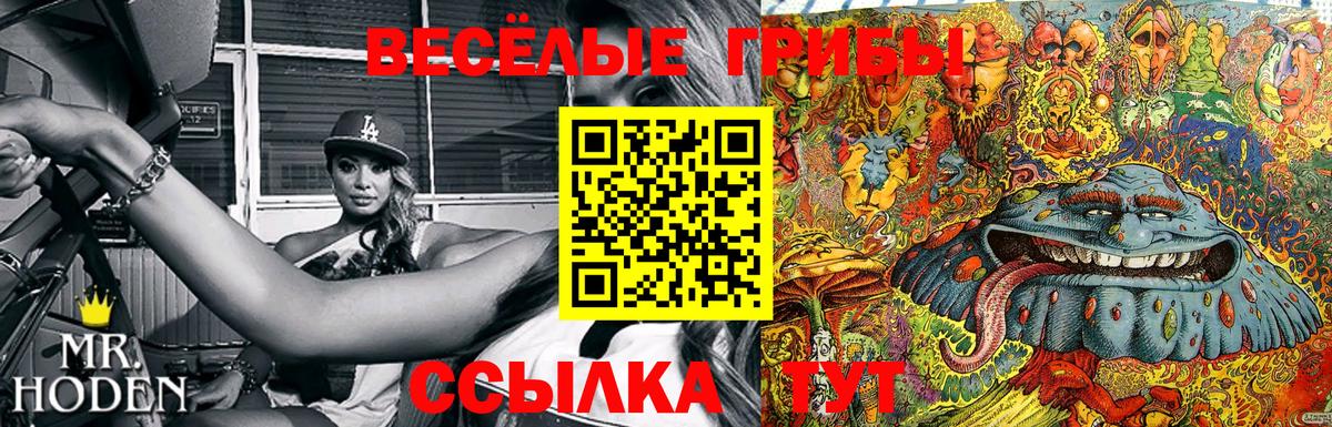 Братск  Галлюциногенные грибы ЛСД  Галлюциногенные грибы мухоморы  сколько стоит  Вход с VPN 